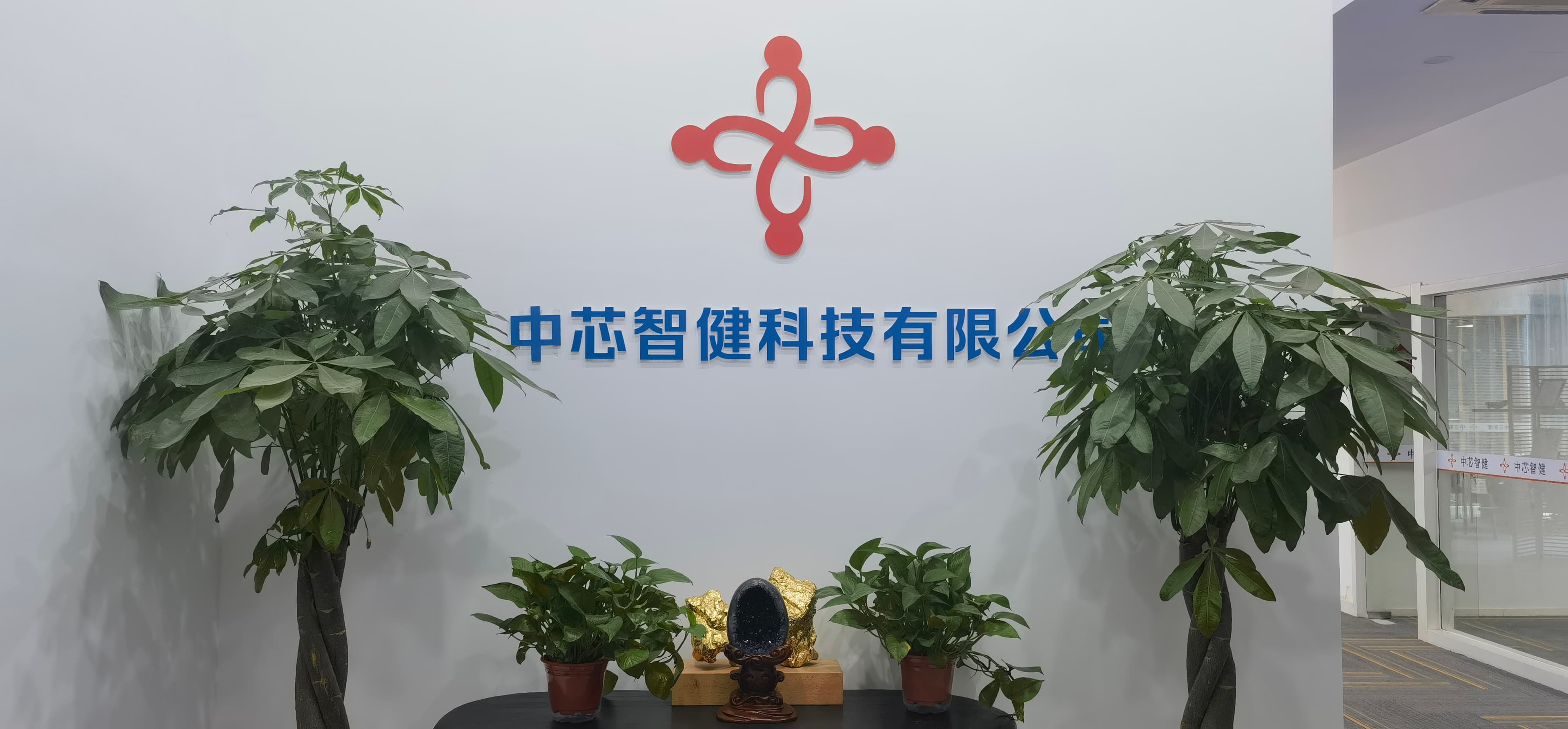 中芯智健办公与团队环境